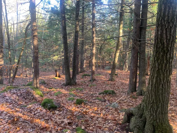 $99,000 | Lot#2 Candlewyck Road, Windham, ME 04062