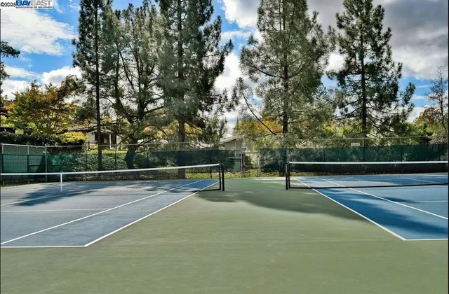 a view of a park with large trees