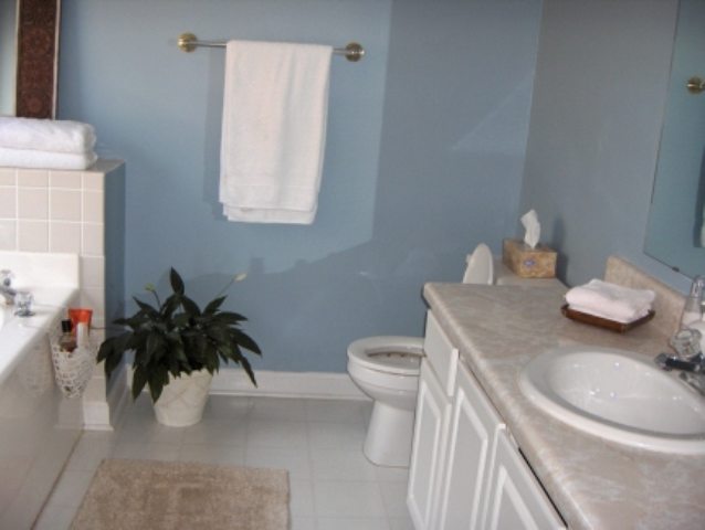 224 Mariposa Circle Anderson, SC 29621 - Photo 4 of 6 Gallery Image 4