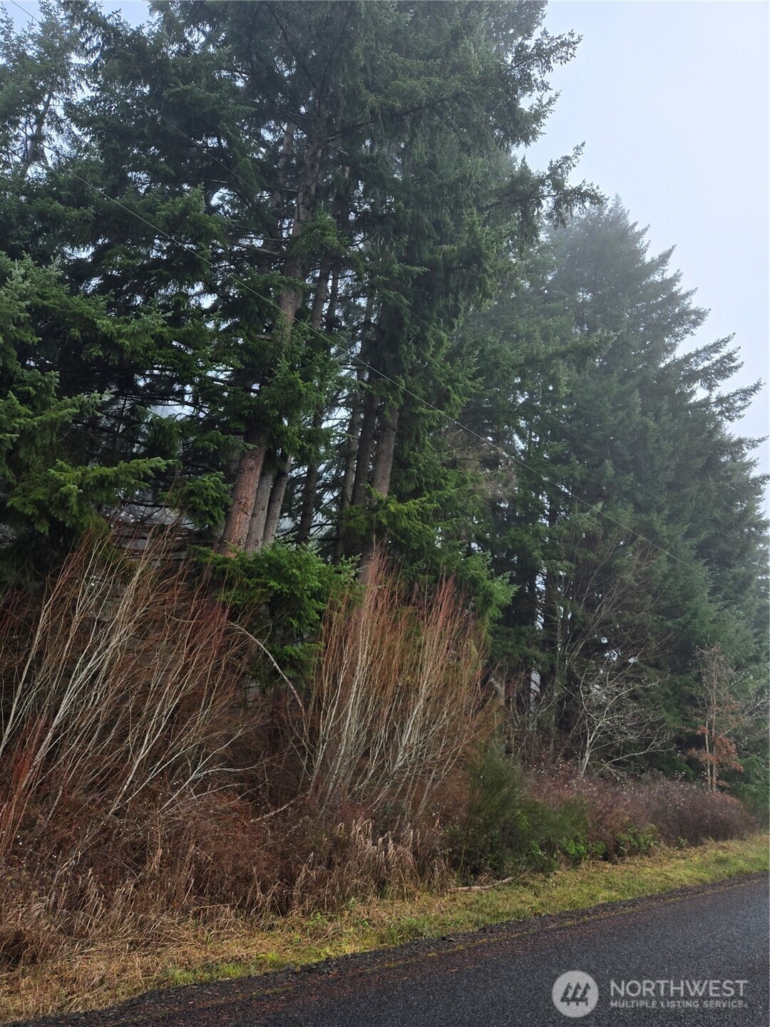 0 Clinton Road Chehalis, WA 98532 - Photo 3 of 11 Gallery Image 3