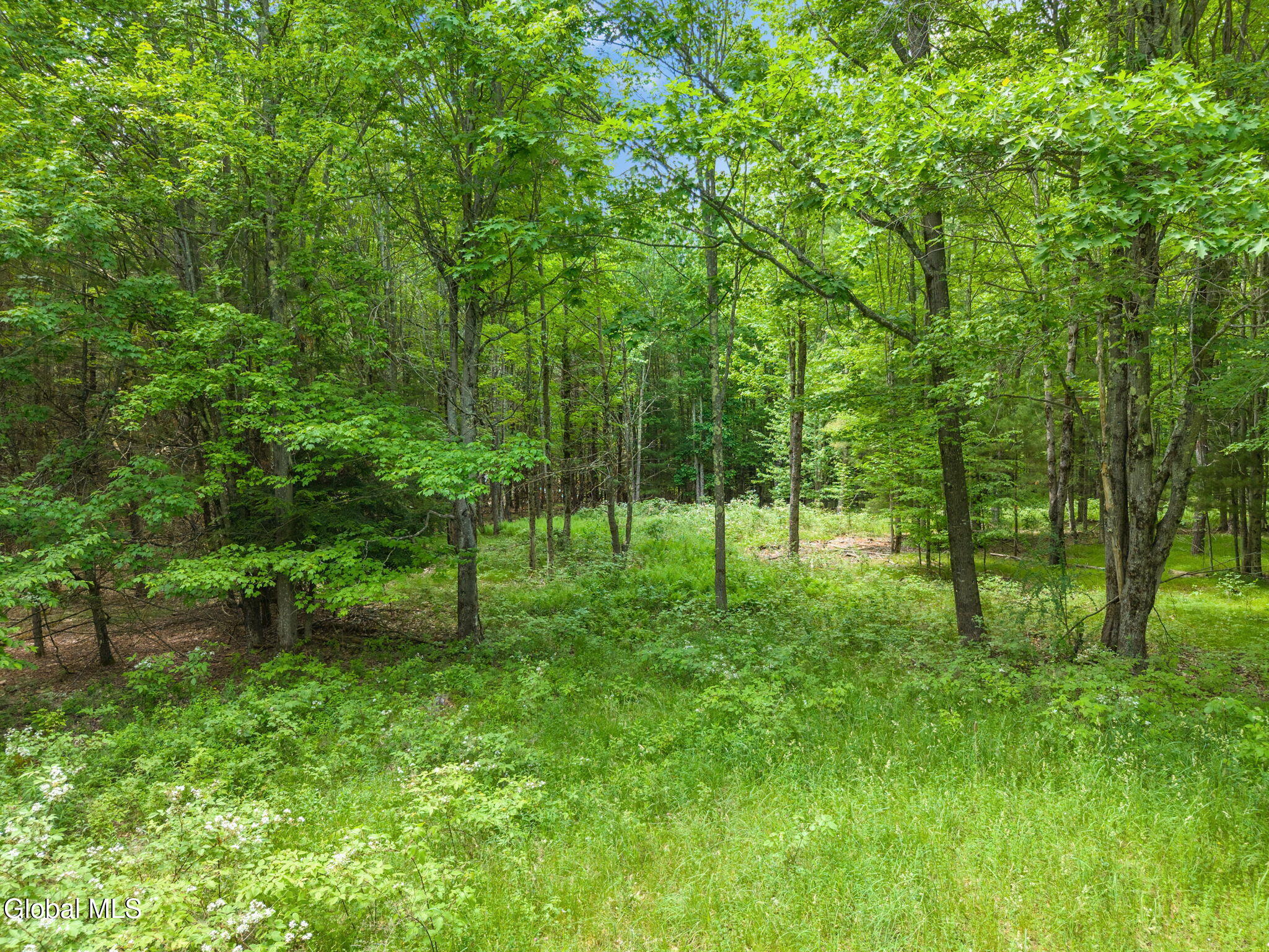 368 Brand Road Gilboa, NY 12076 - Photo 71 of 76 86-368BrandRd_48