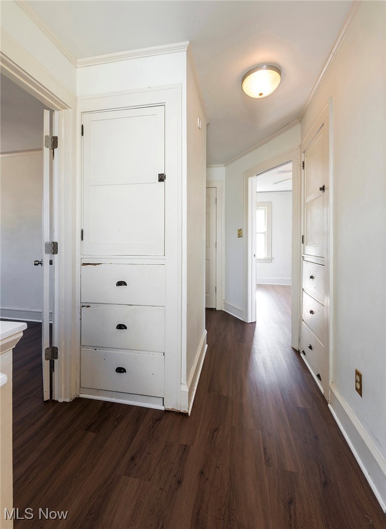 17710 Crestland Road Cleveland, OH 44119 - Photo 20 of 28 Corridor with crown molding and dark wood-style flooring