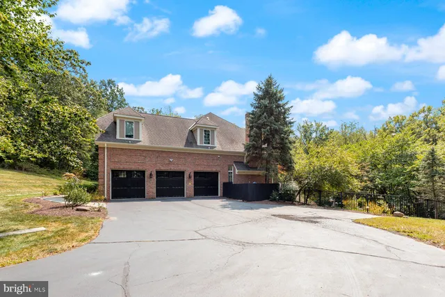 a view of staircase with wooden floor and a potted plant