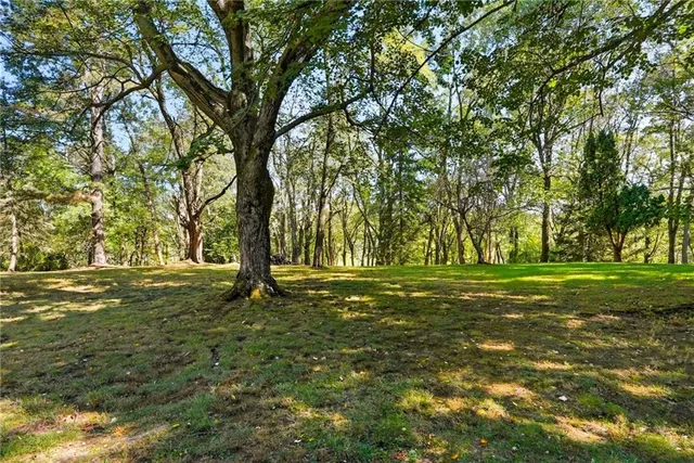 a big yard with trees