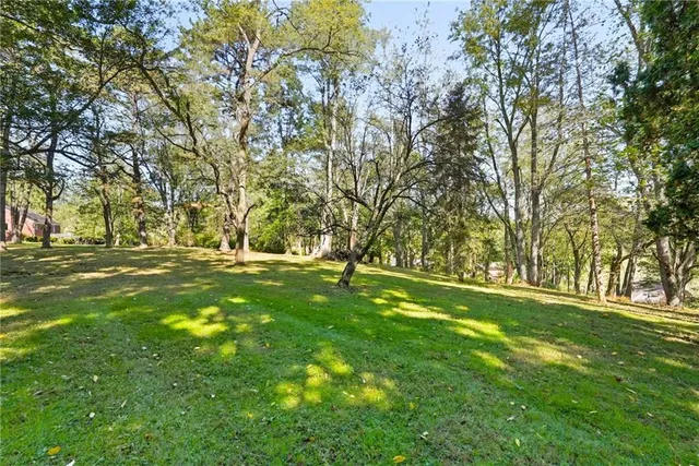a view of yard with trees