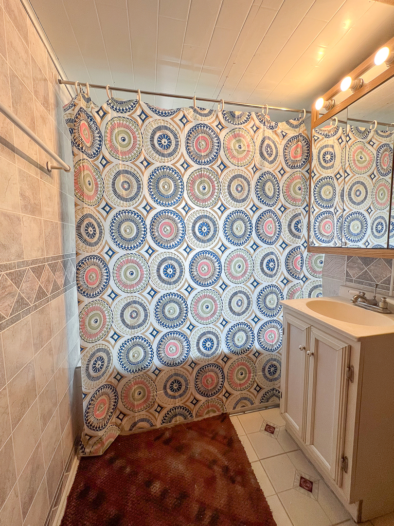 415 South 3rd Street Rochelle, IL 61068 - Photo 21 of 28 walk in closet with rug