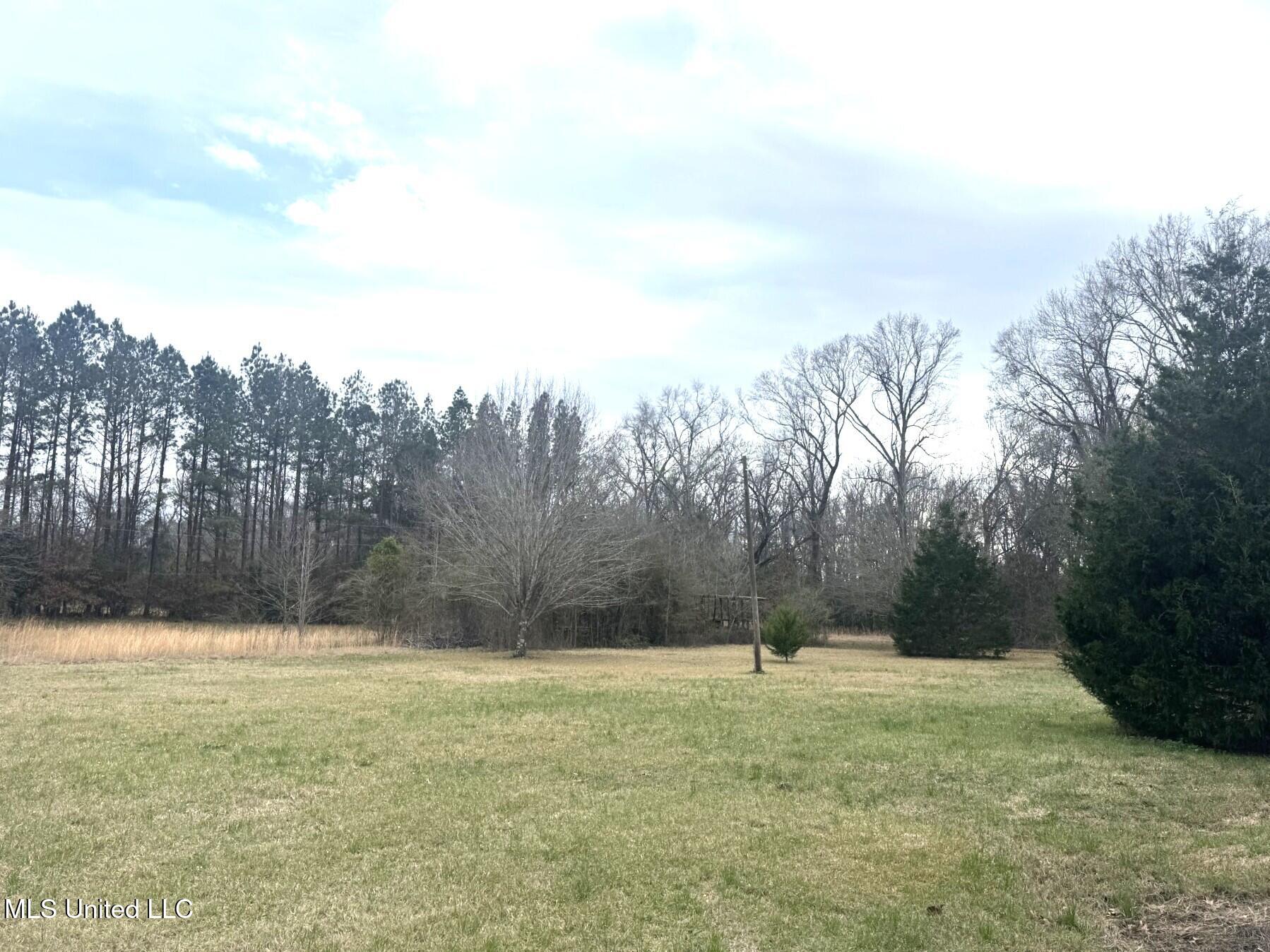 146 Cloverdale Road, Unit A Natchez, MS 39120 - Photo 4 of 26 thumbnail_IMG_8652.jpg 146a 4