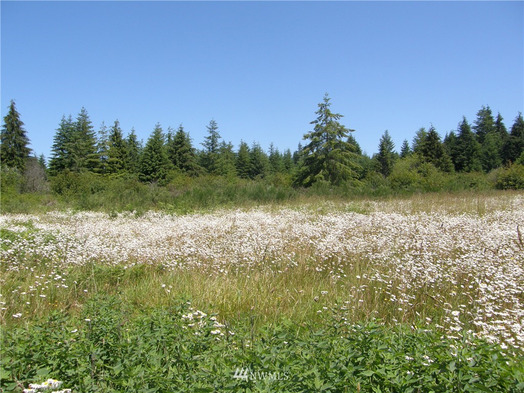 222 West Wishkah Road Aberdeen, WA 98520 - Photo 1 of 8 Gallery Image 1