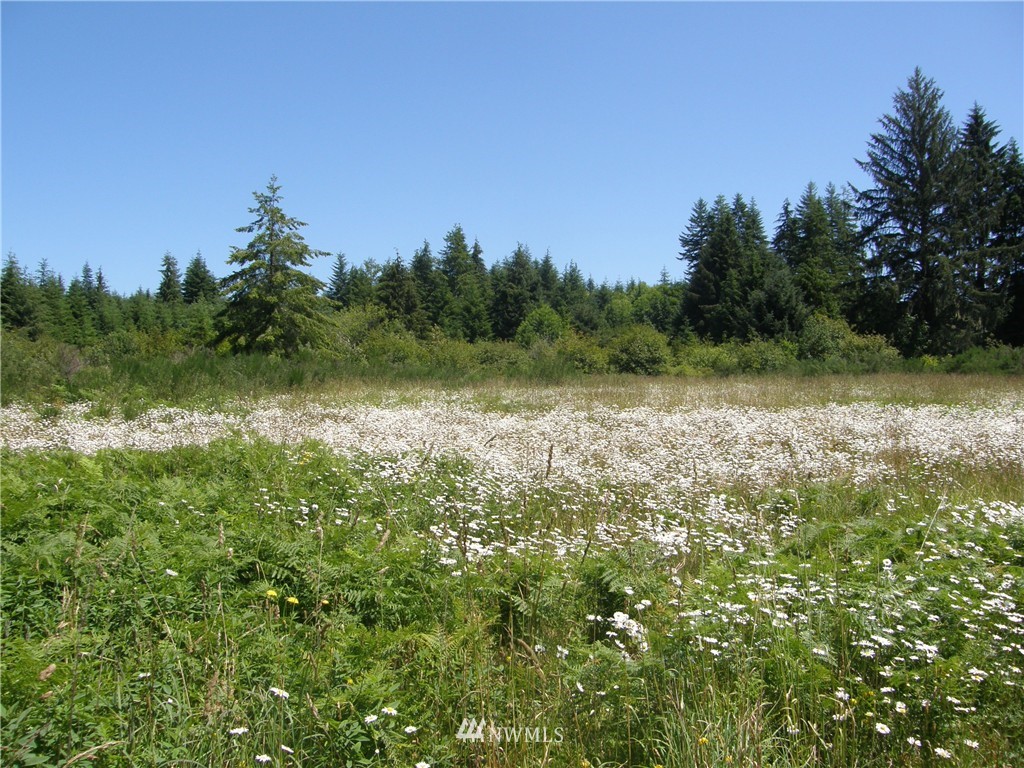 222 West Wishkah Road Aberdeen, WA 98520 - Photo 3 of 8 Gallery Image 3