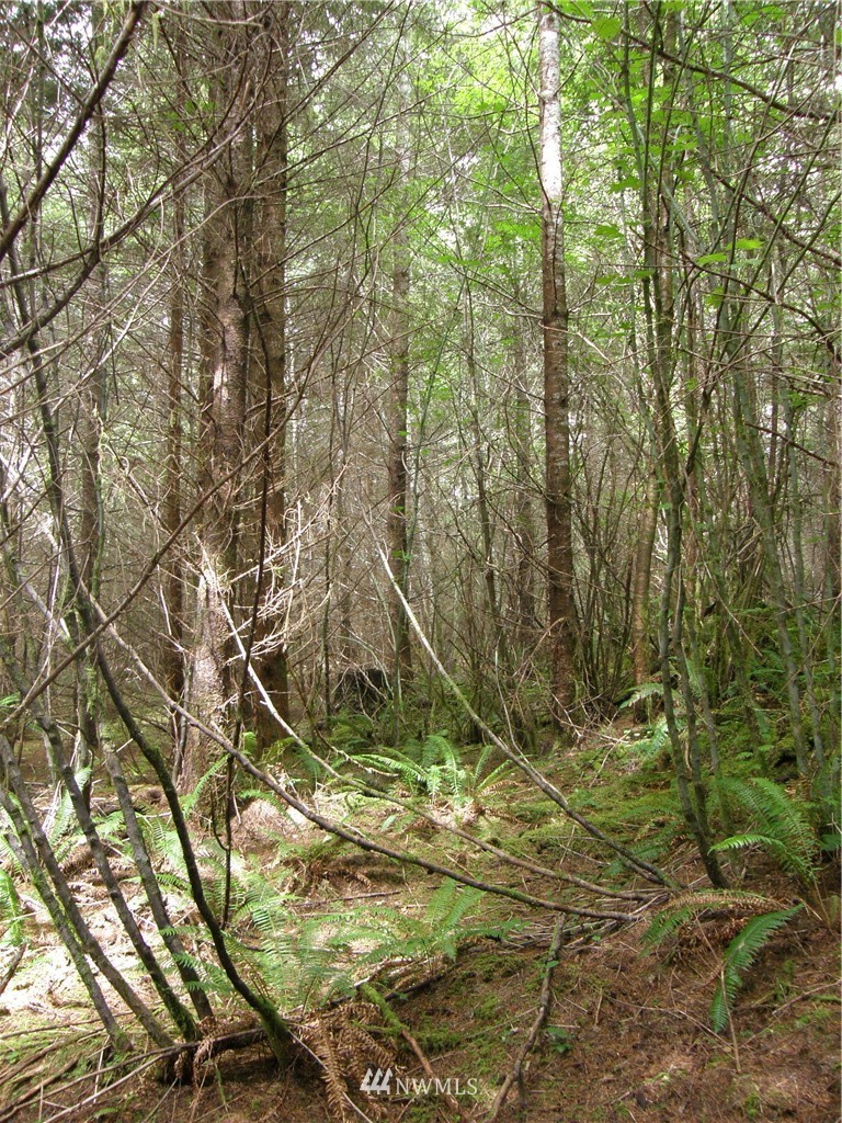 222 West Wishkah Road Aberdeen, WA 98520 - Photo 5 of 8 Gallery Image 5