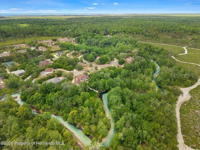 6153 New Osprey Point Weeki Wachee, FL 34607 - Photo 58 of 63