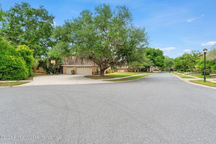 6153 New Osprey Point Weeki Wachee, FL 34607 - Photo 62 of 63