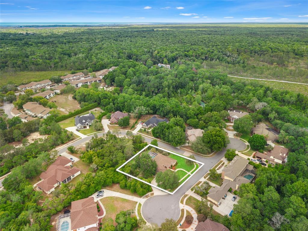 6153 New Osprey Point Weeki Wachee, FL 34607 - Photo 10 of 63