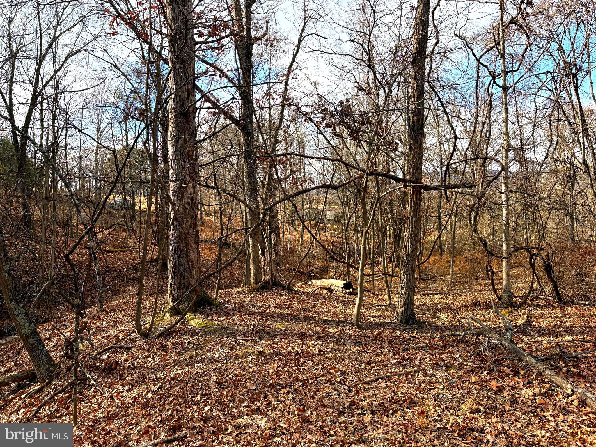16 Rolling Acres Road Old Fields, WV 26845 - Photo 12 of 23