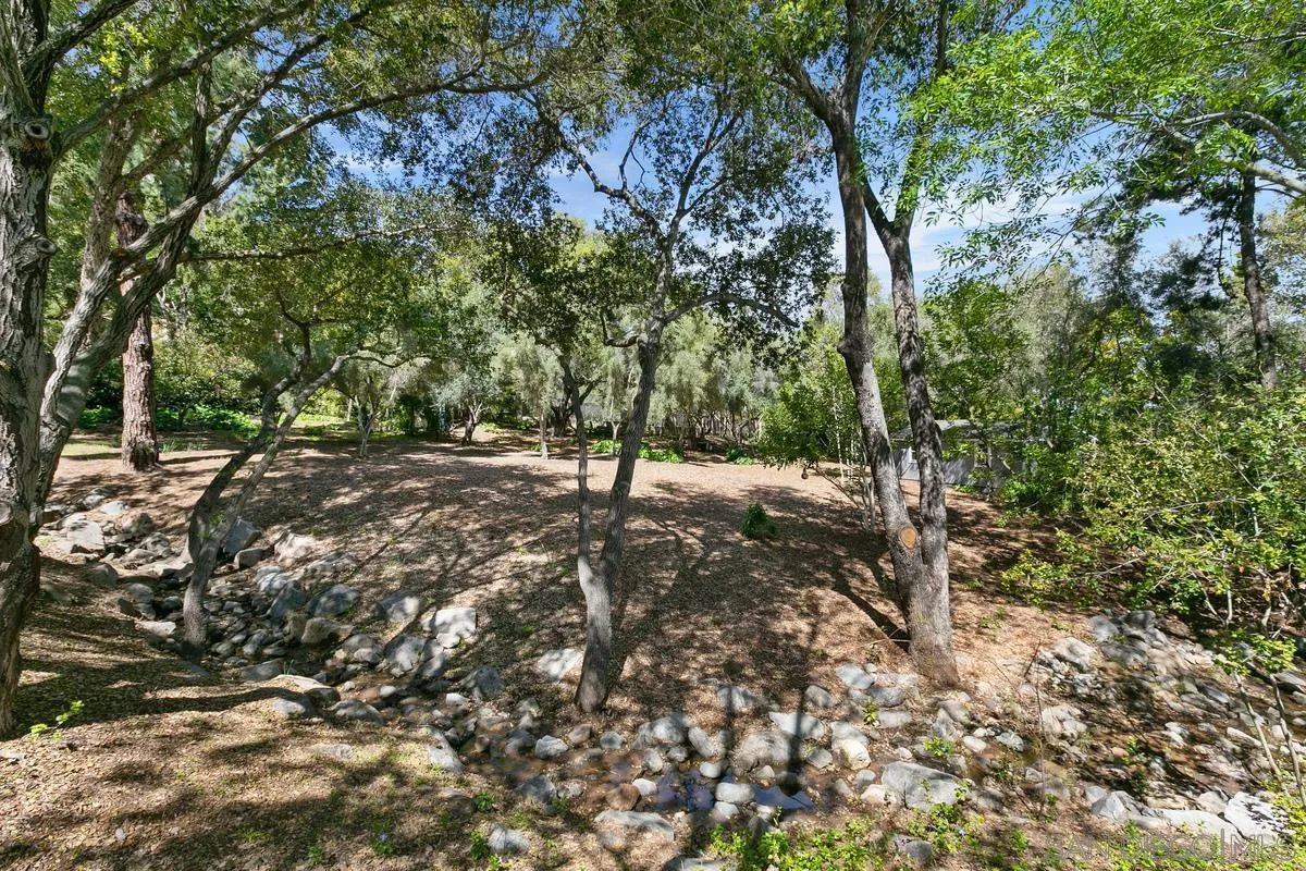 15629 Boulder Mountain Road Poway, CA 92064 - Photo 56 of 64 a view of a forest with trees