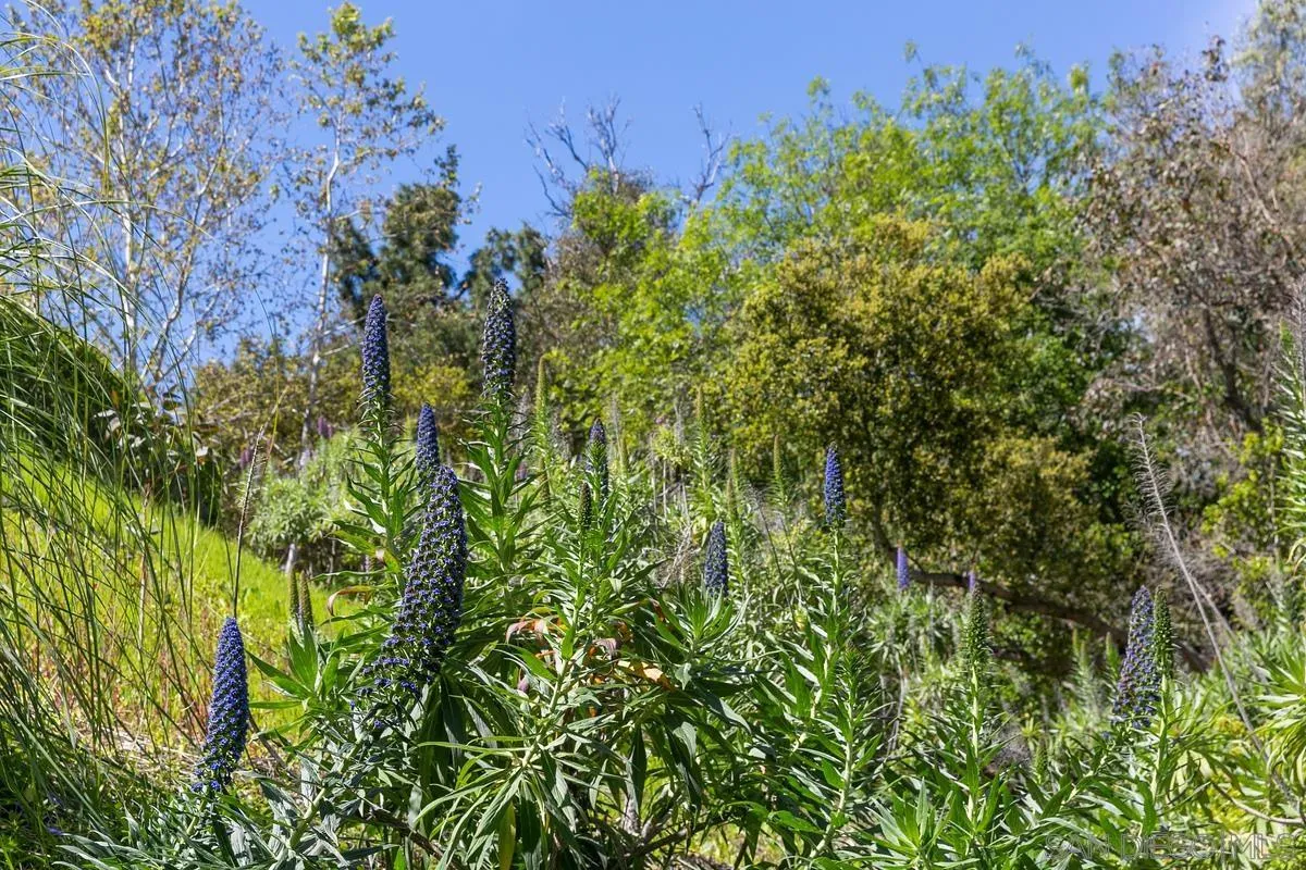 15629 Boulder Mountain Road Poway, CA 92064 - Photo 59 of 64