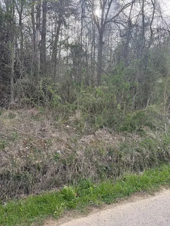 $1,150,000 | 97.32 Griffith Road, Pikeville, TN 37367