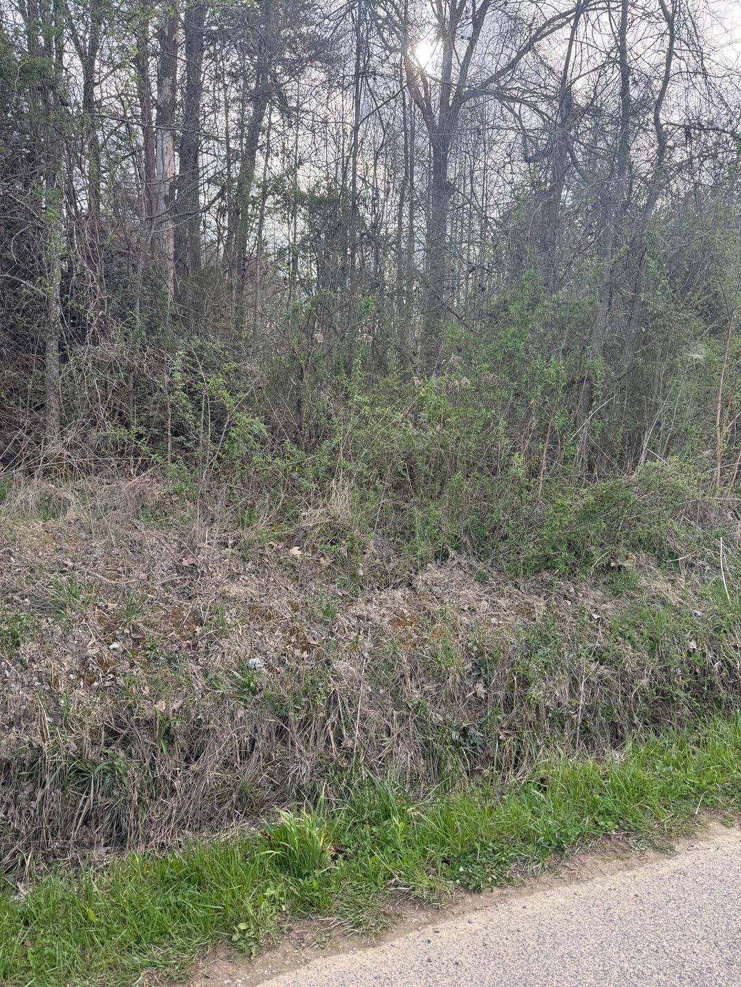 97.32 Griffith Road Pikeville, TN 37367 - Photo 1 of 11 IMG_0005