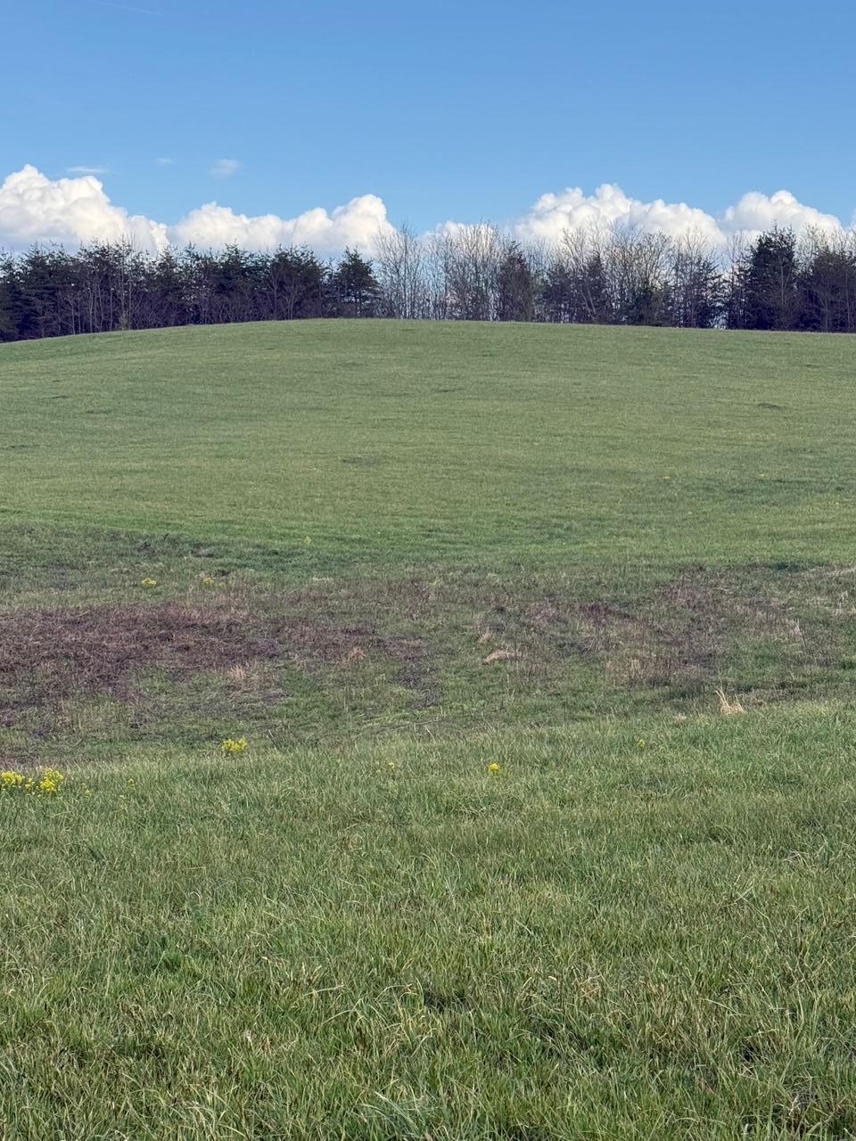 97.32 Griffith Road Pikeville, TN 37367 - Photo 11 of 11 IMG_0015