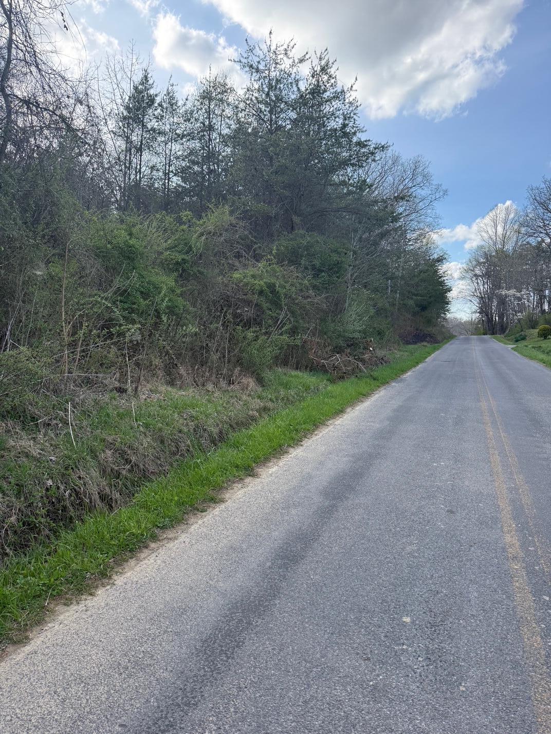 97.32 Griffith Road Pikeville, TN 37367 - Photo 2 of 11 IMG_0006