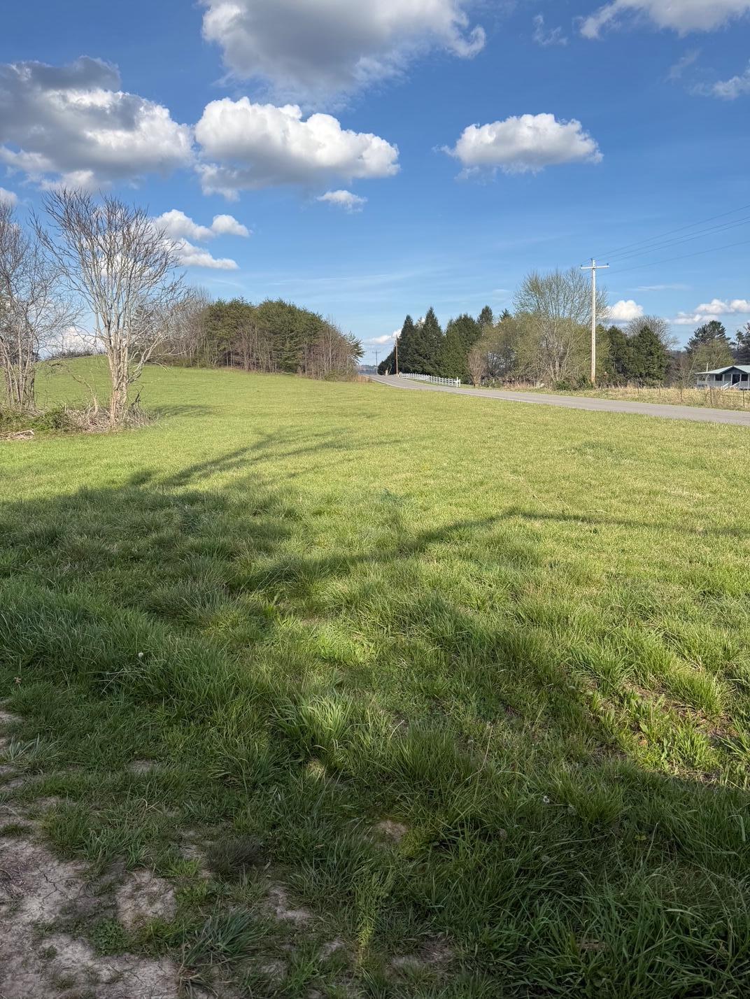 97.32 Griffith Road Pikeville, TN 37367 - Photo 3 of 11 IMG_0007