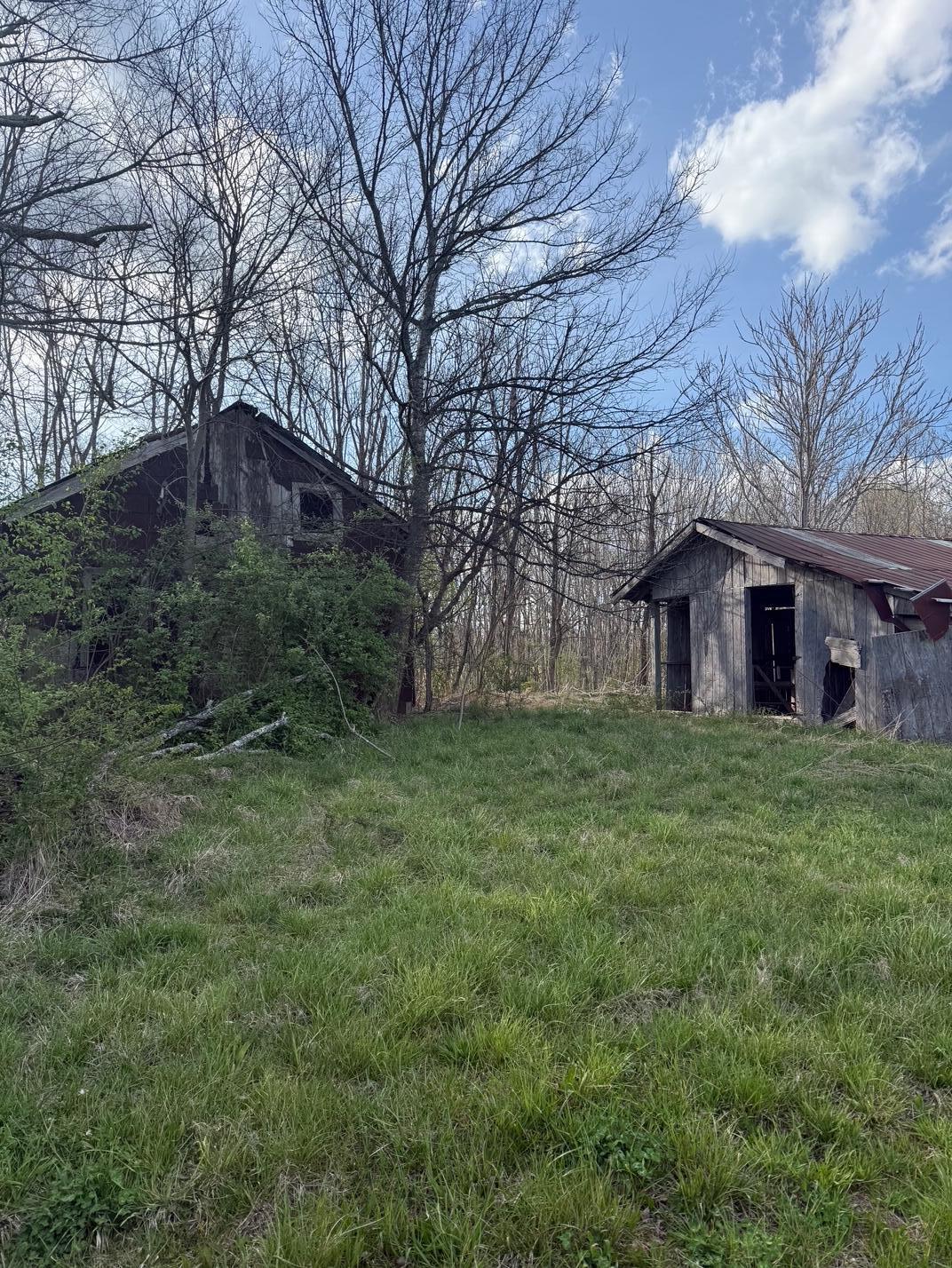 97.32 Griffith Road Pikeville, TN 37367 - Photo 6 of 11 IMG_0010