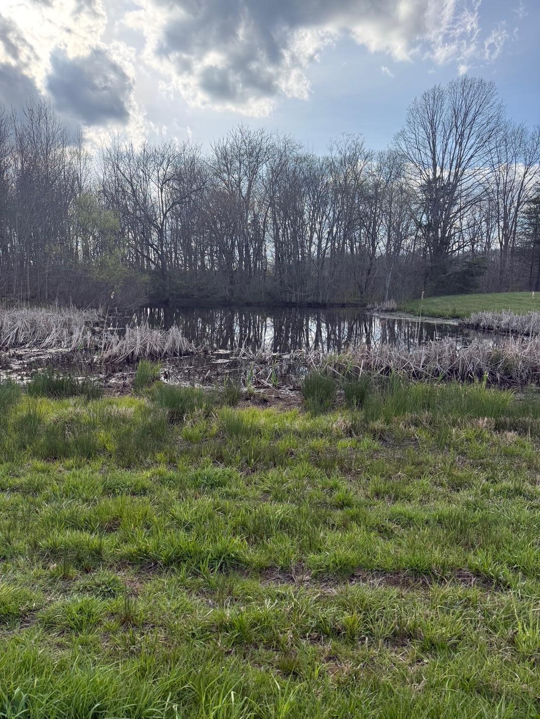 97.32 Griffith Road Pikeville, TN 37367 - Photo 7 of 11 IMG_0011