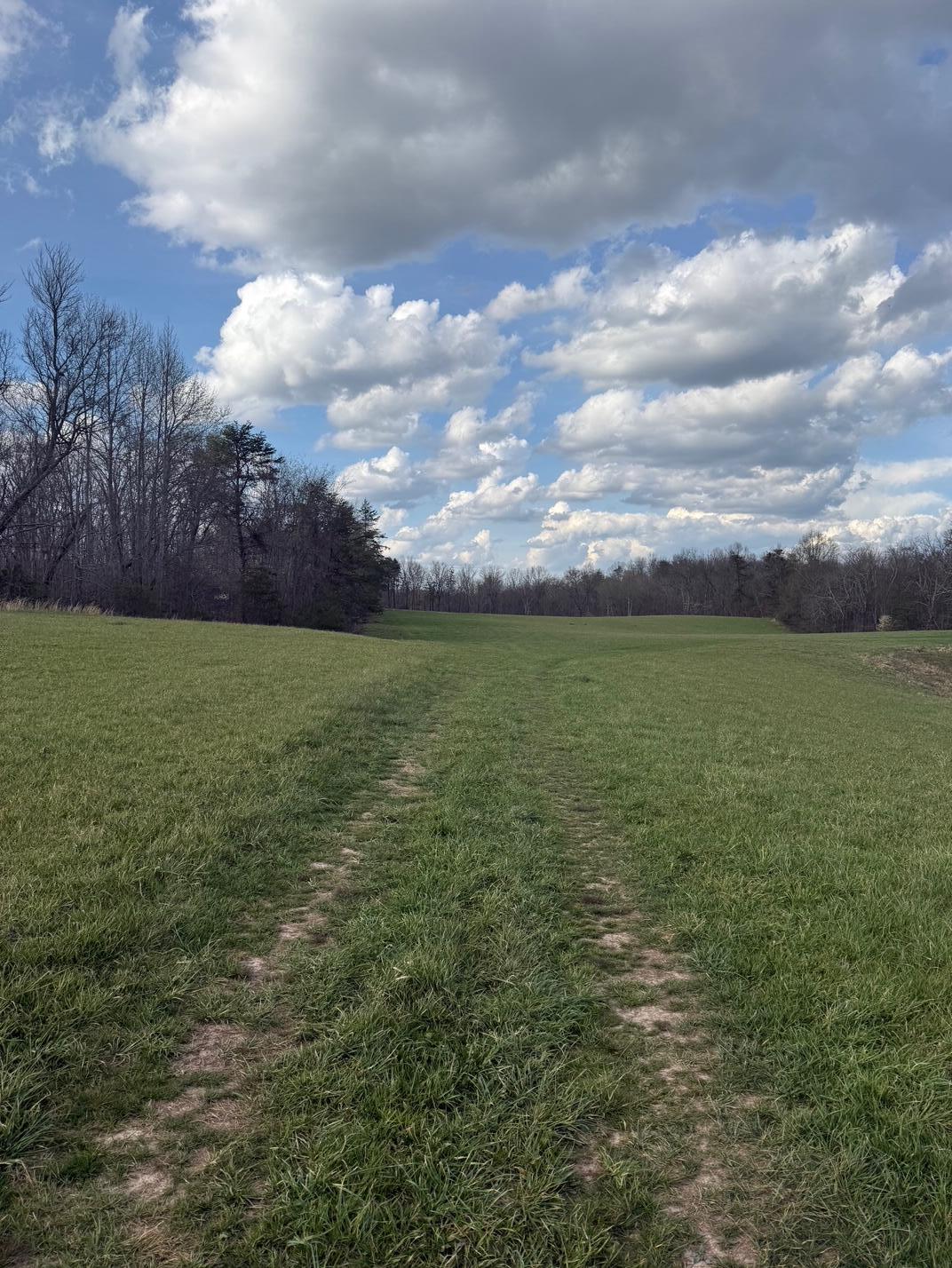 97.32 Griffith Road Pikeville, TN 37367 - Photo 8 of 11 IMG_0012