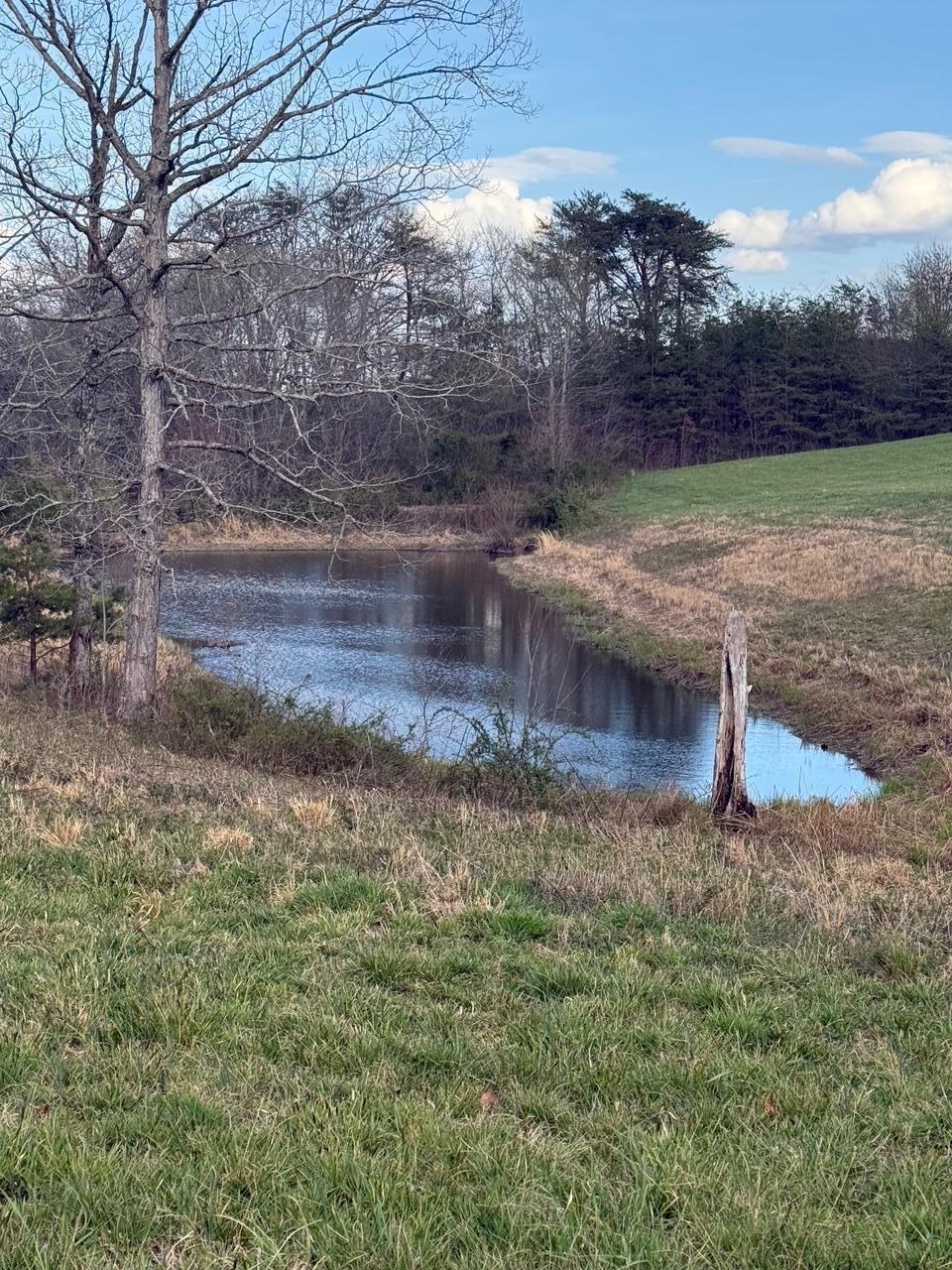 97.32 Griffith Road Pikeville, TN 37367 - Photo 10 of 11 IMG_0014