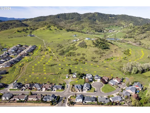 $850,000 | Danielle Drive, Winston, OR 97496