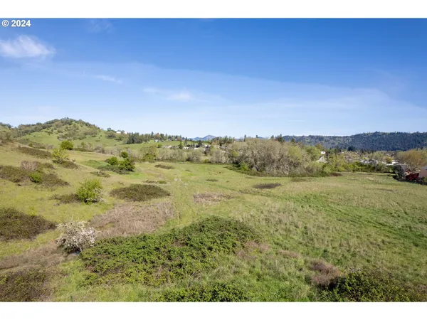 $850,000 | Danielle Drive, Winston, OR 97496