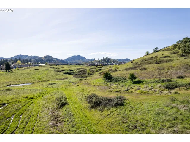 $850,000 | Danielle Drive, Winston, OR 97496