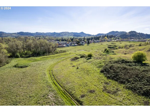 $850,000 | Danielle Drive, Winston, OR 97496
