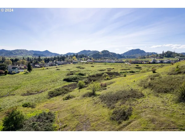 $850,000 | Danielle Drive, Winston, OR 97496