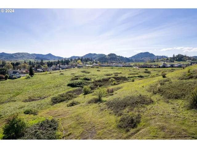 $850,000 | Danielle Drive, Winston, OR 97496