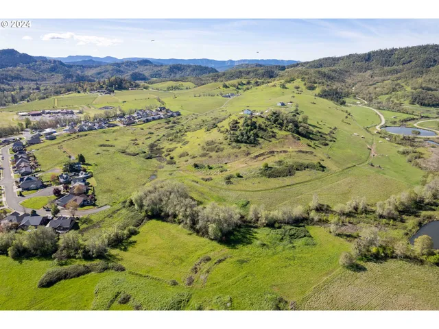 $850,000 | Danielle Drive, Winston, OR 97496