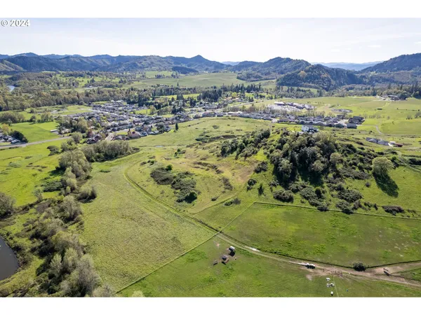 $850,000 | Danielle Drive, Winston, OR 97496