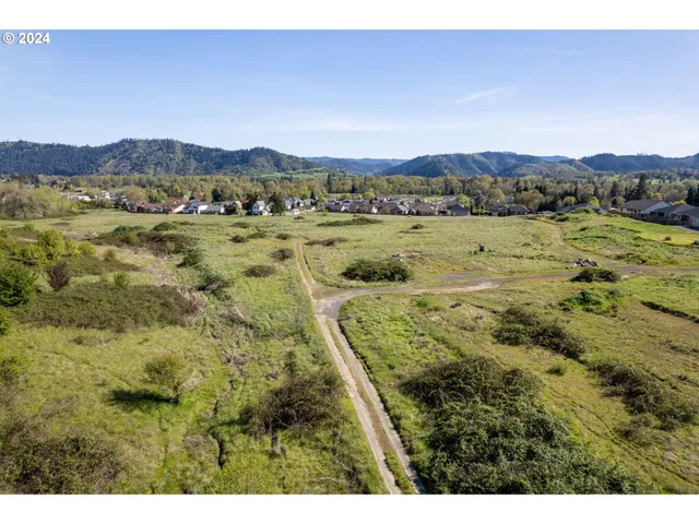 $850,000 | Danielle Drive, Winston, OR 97496