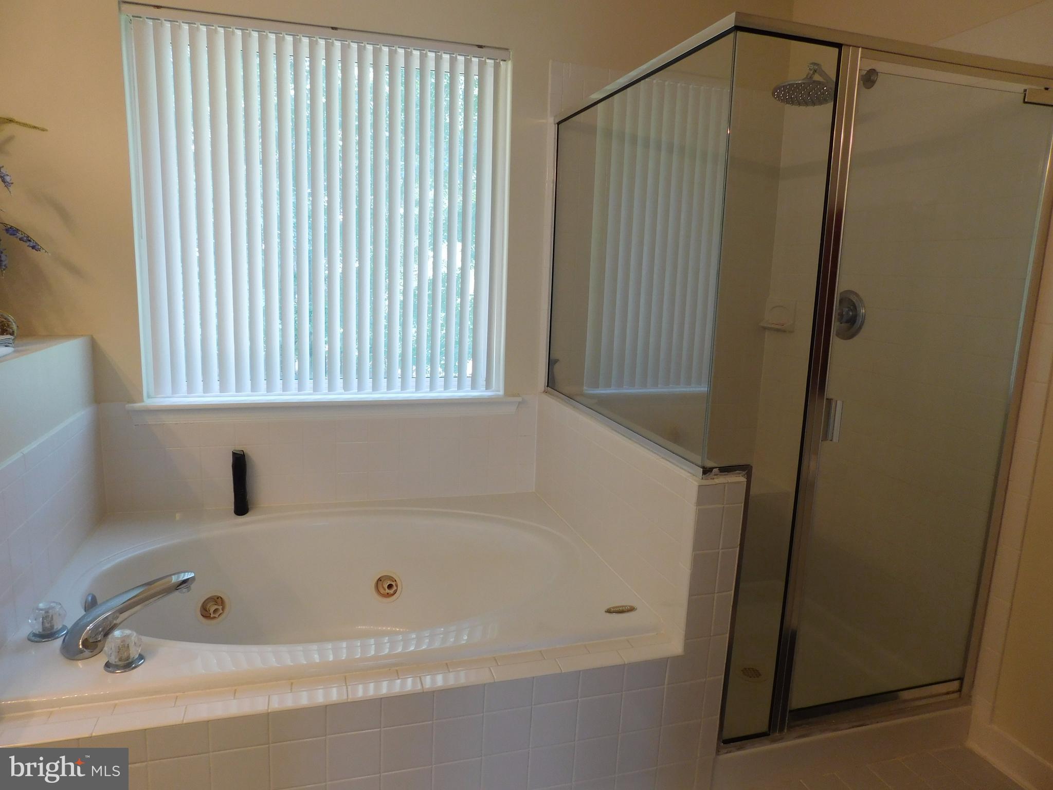 12212 Snowden Woods Road Laurel, MD 20708 - Photo 11 of 18 Bath (Master)