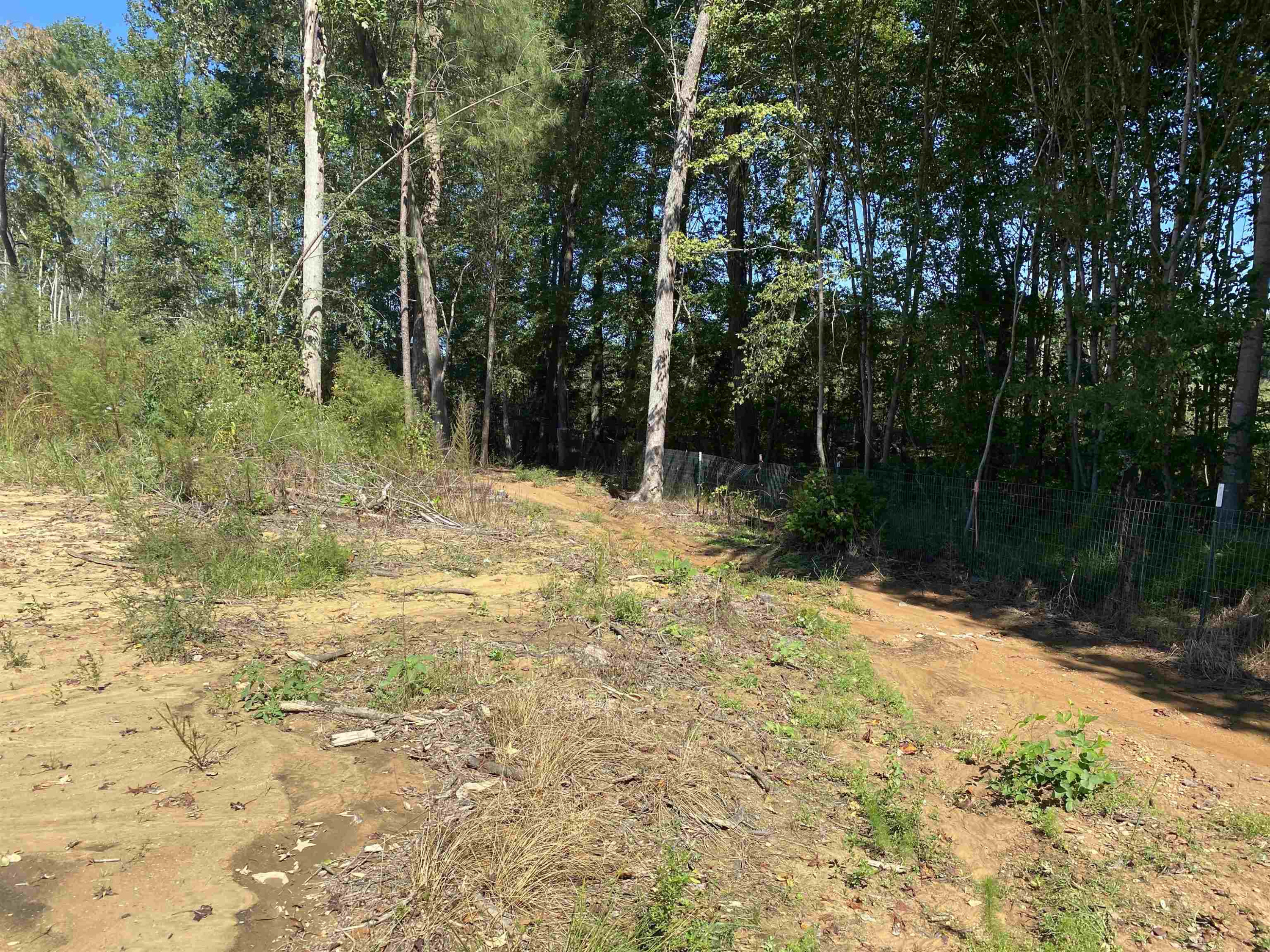 259 Embro-Vaughn Road Macon, NC 27551 - Photo 14 of 29 Photo 14