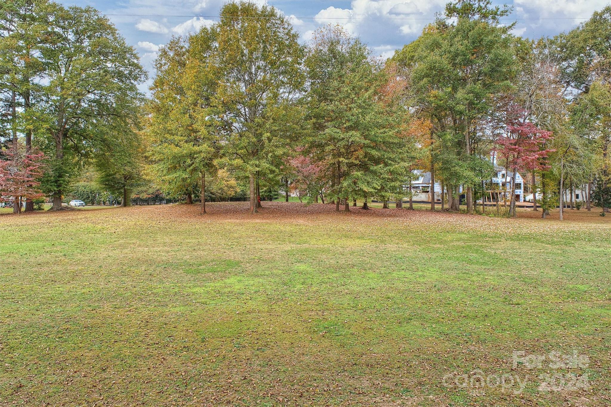 4001 River Ridge Road Charlotte, NC 28226 - Photo 8 of 16