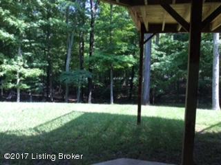 855 Long Needle Road Brandenburg, KY 40108 - Photo 31 of 46 long needle outside view 3