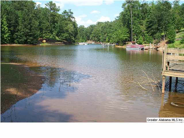 263 County Road 263, Unit 2 PARCLS Lineville, AL 36266 - Photo 4 of 14