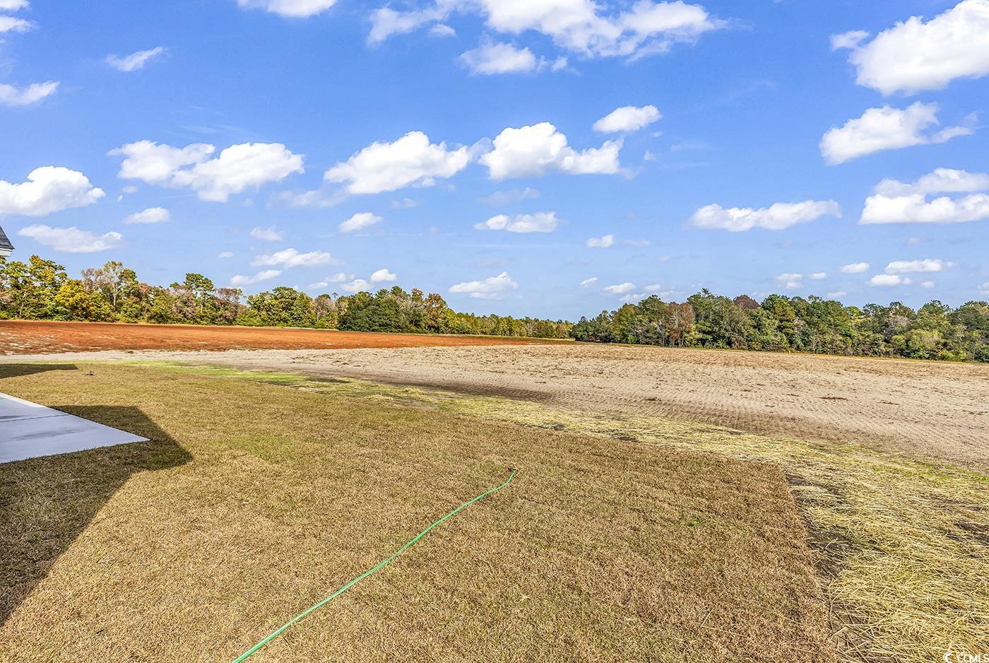 3261 Red Bluff Road Loris, SC 29569 - Photo 38 of 39 View of grassy yard