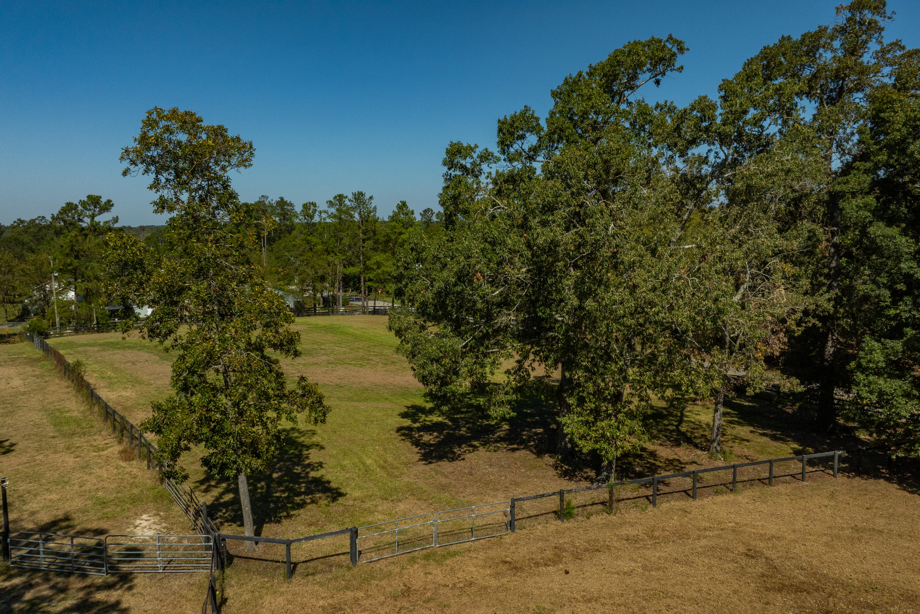 320 Adams Lane Gilbert, SC 29054 - Photo 10 of 92