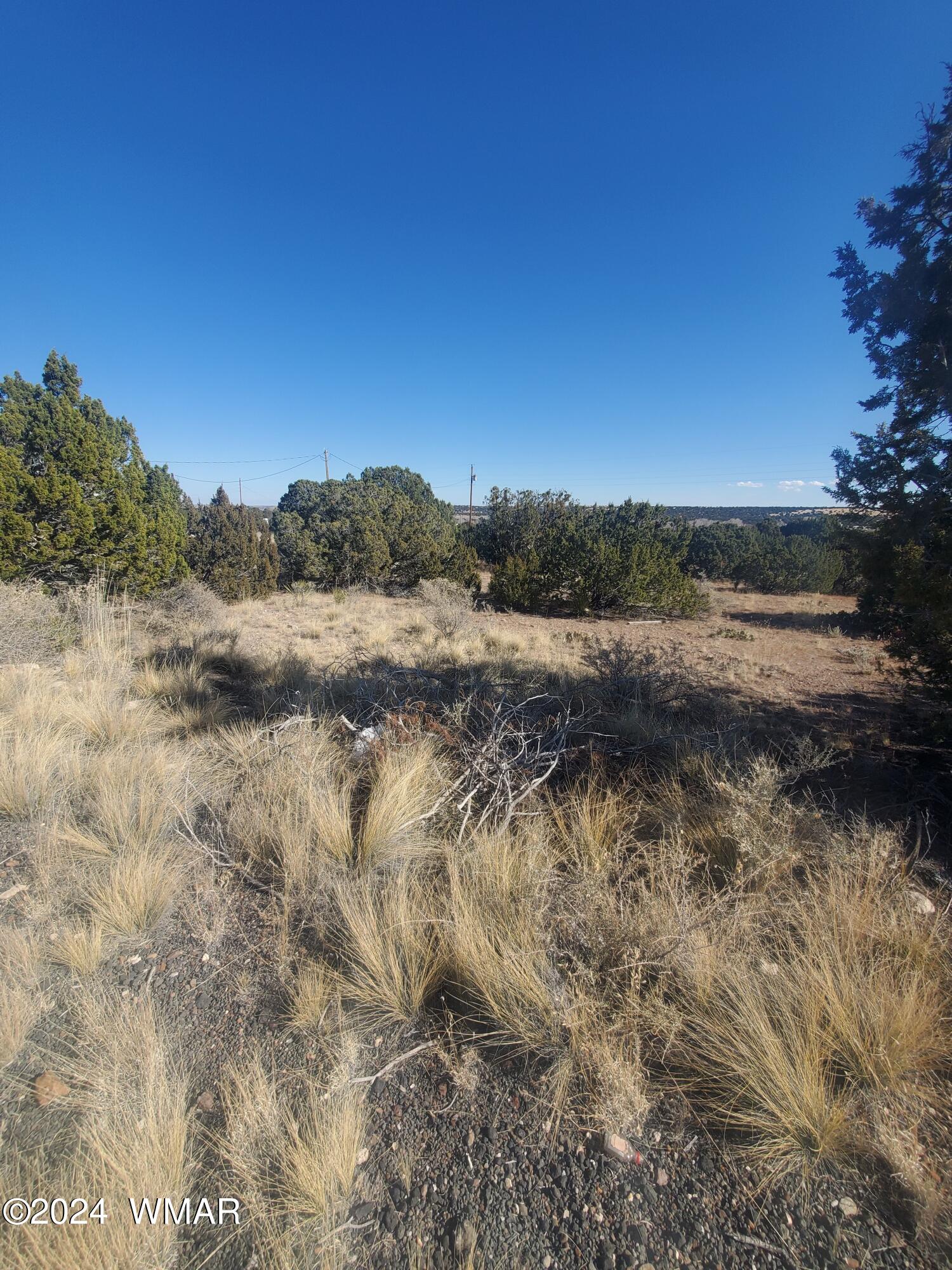 249 Orange Rock Road Concho, AZ 85924 - Photo 1 of 4