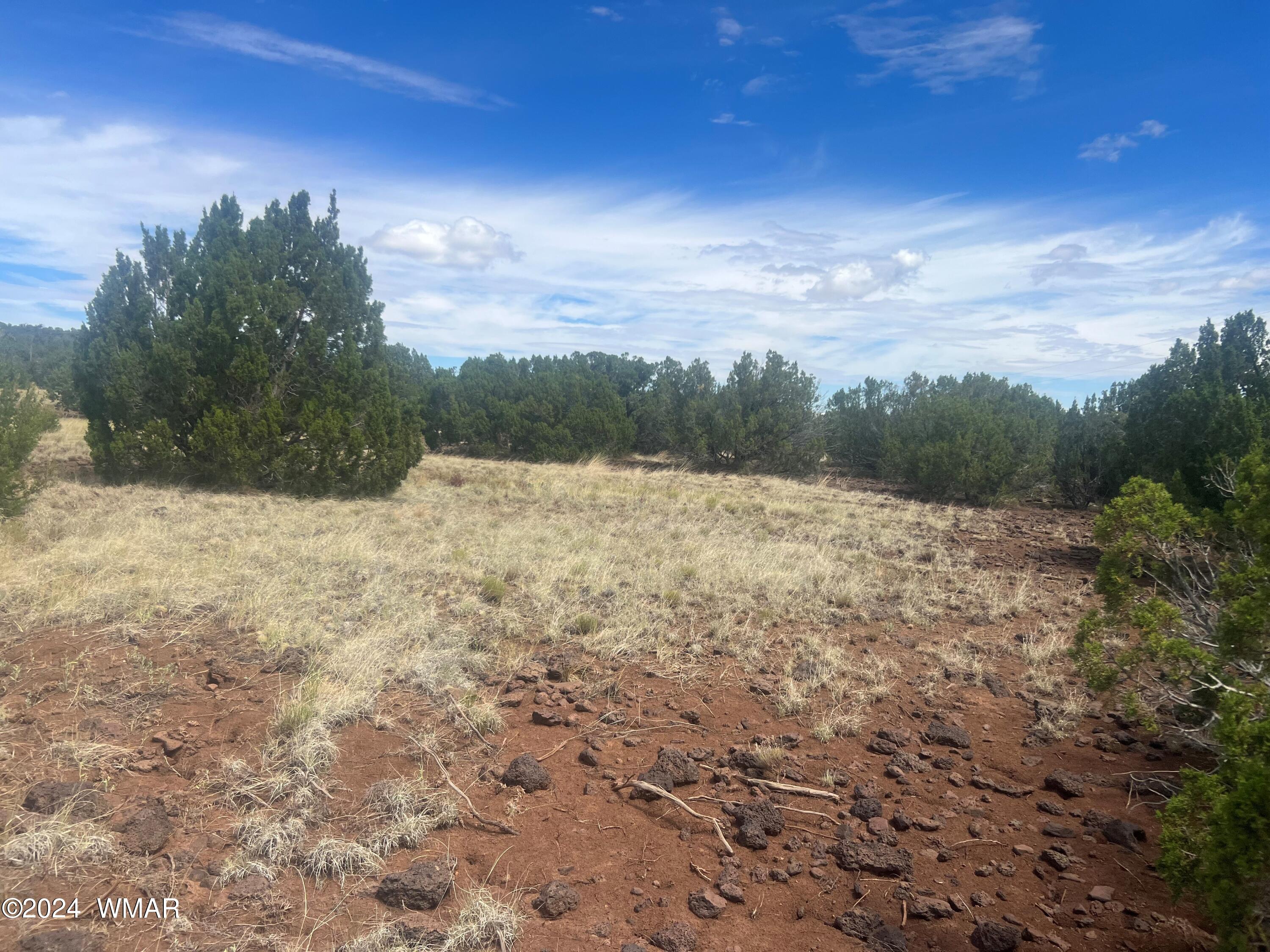 249 Orange Rock Road Concho, AZ 85924 - Photo 2 of 4