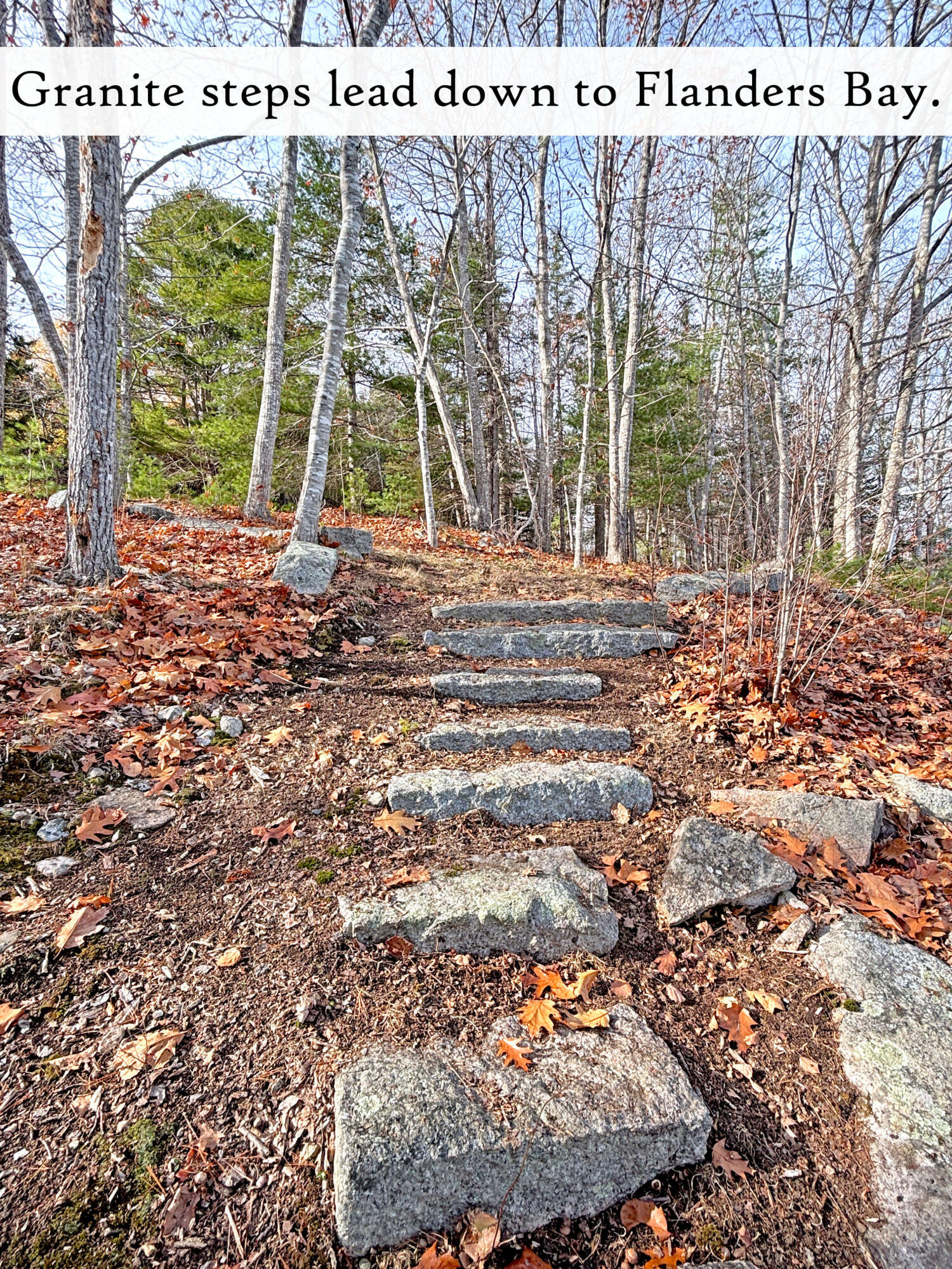 313 East Side Road Sorrento, ME 04677 - Photo 85 of 103 Waterfront (4), label