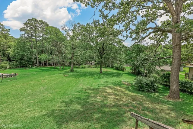 a view of a park with large trees