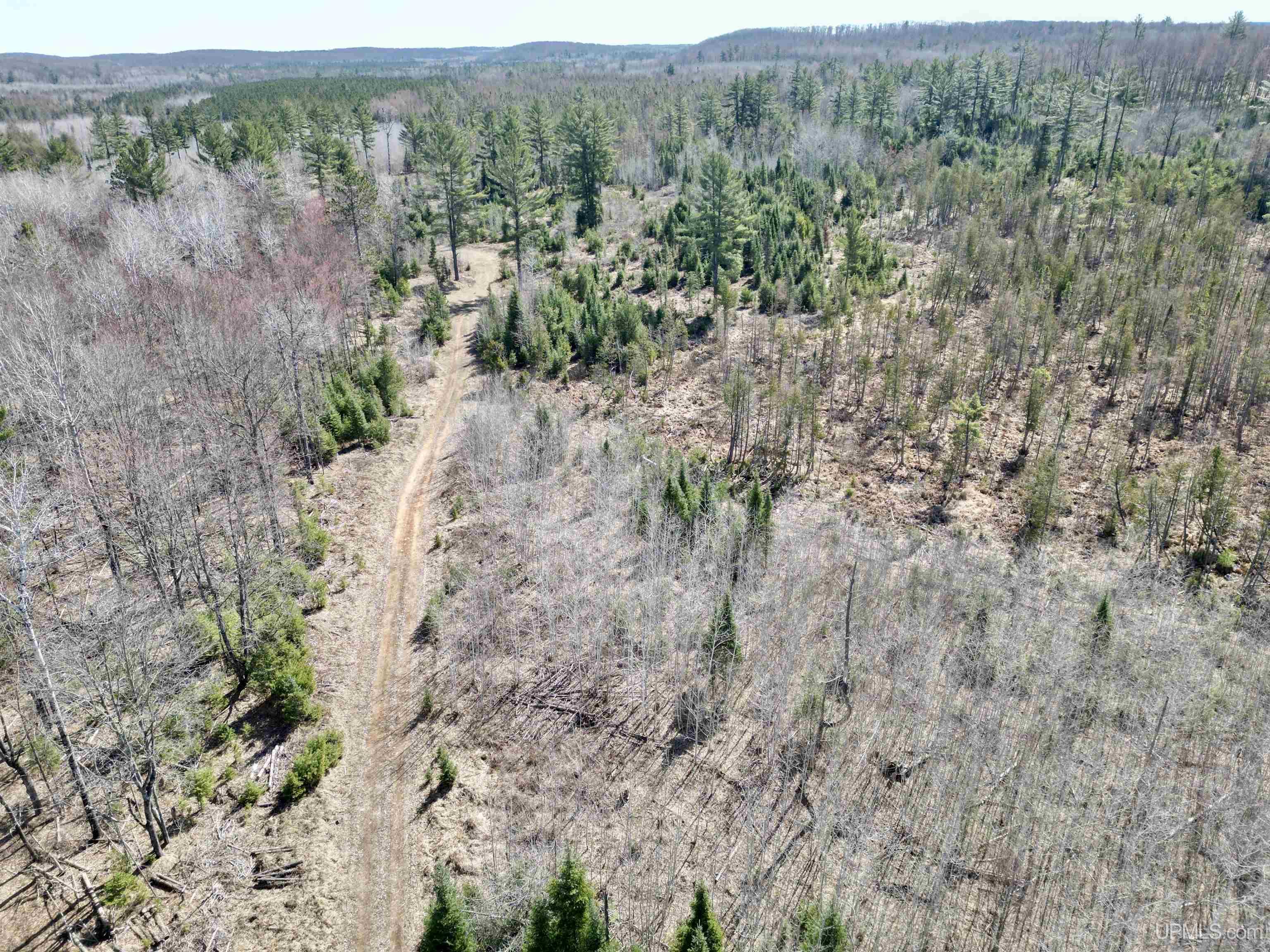 577 Rd Vulcan Mi 49892 Road Vulcan, MI 49892 - Photo 4 of 17